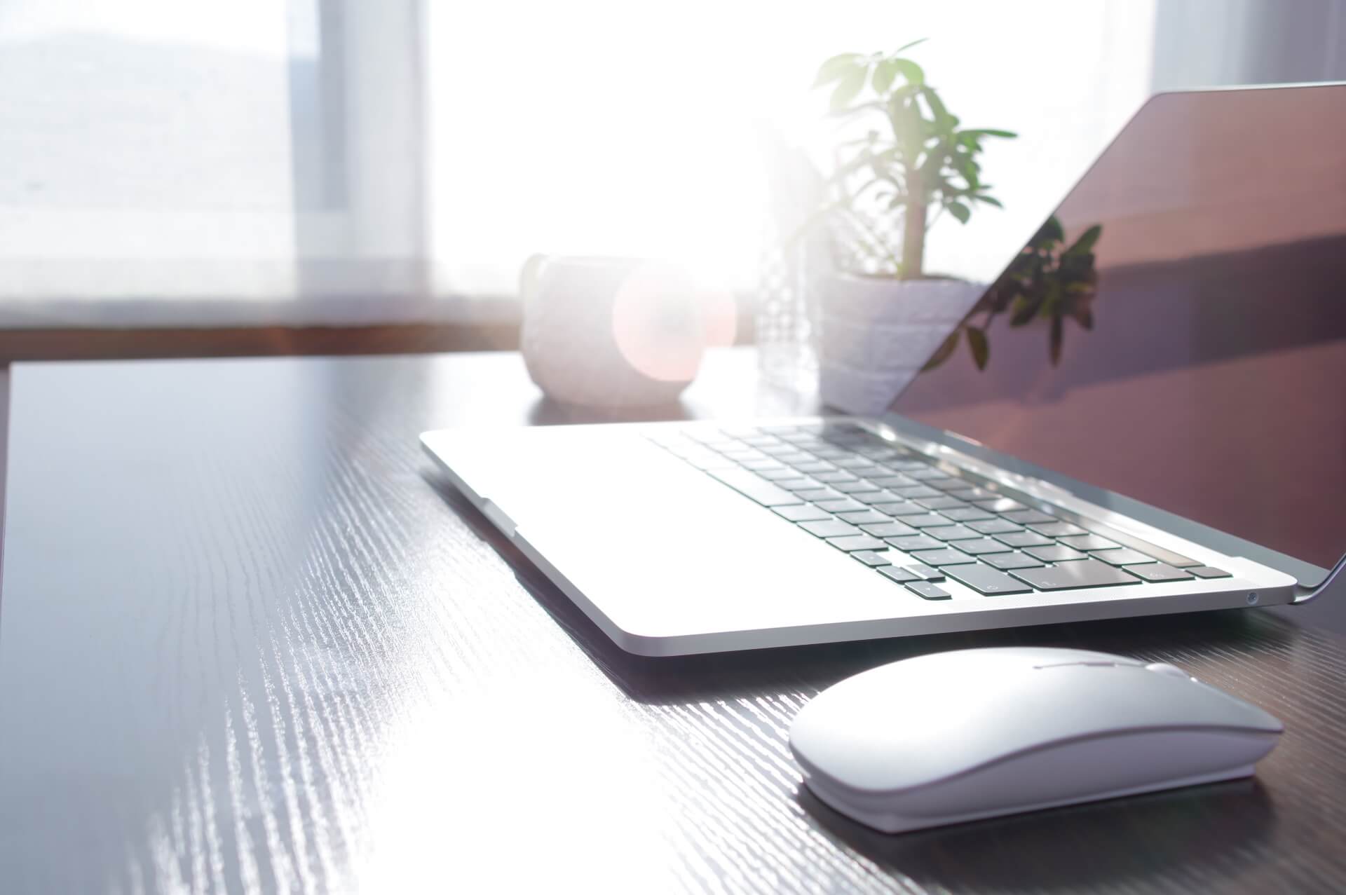 パソコンの画像